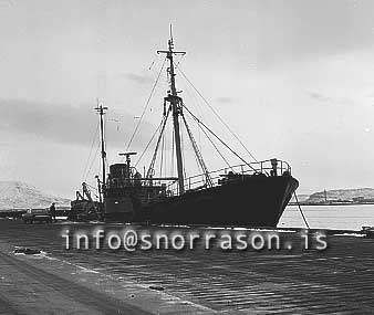 ss01642-01.jpg
Northern Queen GY 124