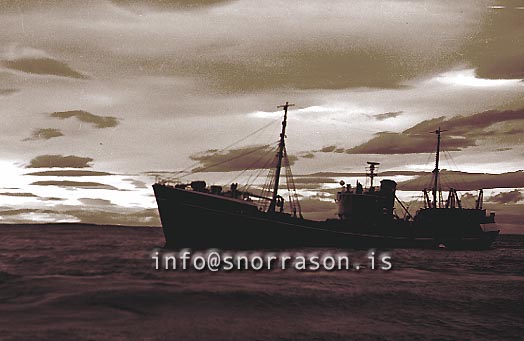 ss01593.jpg
Elliðaey VE 10