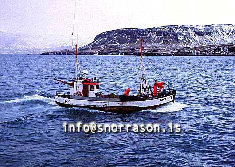 ss00775-01.jpg
Pétur Jacob SH 37