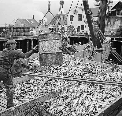 ss01760-01.jpg
Siglufjörður, síld 1959