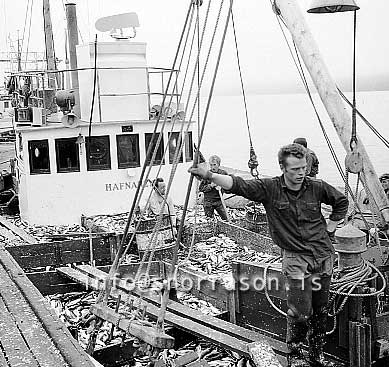 ss01761-01.jpg
Siglufjörður, síld 1959