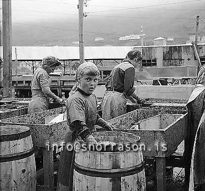 ss01768-01.jpg
Siglufjörður, síld 1959