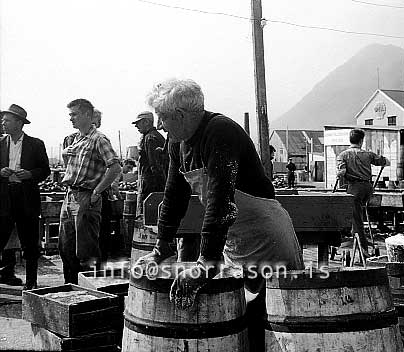 ss01784-01.jpg
Siglufjörður síld 1959