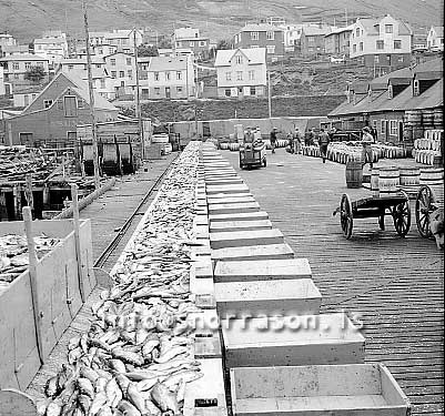 ss01786-01.jpg
Siglufjörður síld 1959