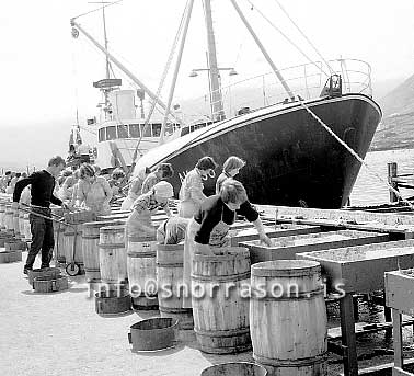 ss01799-01.jpg
Siglufjörður, síld 1959-1960