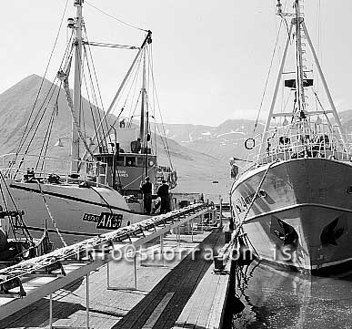 ss01806-01.jpg
Siglufjörður, síld 1959-1960