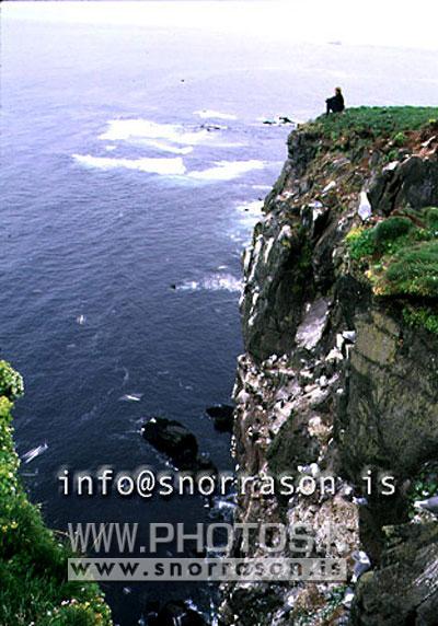 hs002775-01.jpg
Látrabjarg, Látrabjarg-cliff west Iceland, fuglabjarg