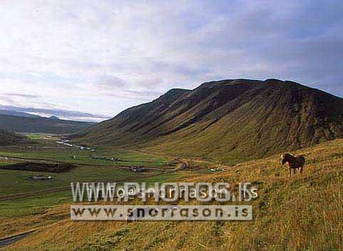 hs014312-01.jpg
Svartárdalur, Svartárdalur valley, north Iceland