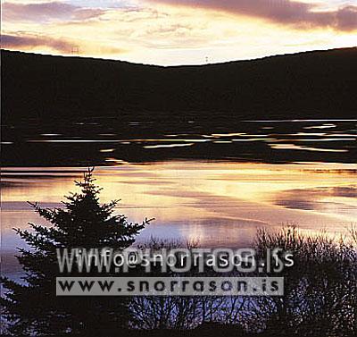 hs009595-01.jpg
Vífilstaðavatn
Vífilstadavatn lake, sw - Iceland