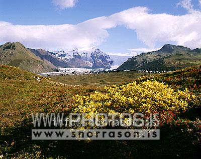 hs006313-01.jpg
Öræfasveit
autmn in Öraefi, se - Iceland