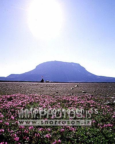 hs005842-01.jpg
The queen of Icelandic mountains, Herdubreid