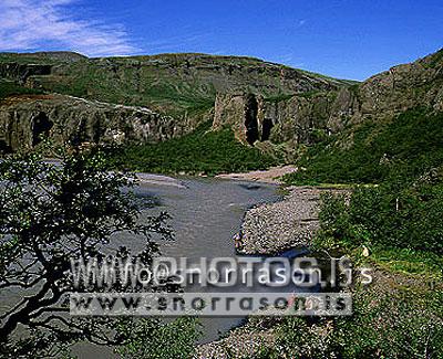 hs002992-01.jpg
Núpstaðaskógur, southeast Iceland