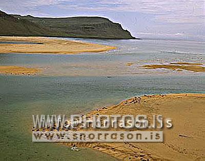 hs001463-01.jpg
Rauðasandur
aerial view of seals at Raudisandur, west fjords