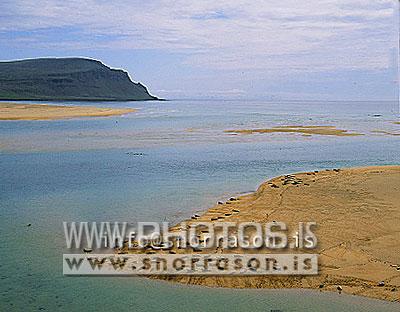 hs001255-01.jpg
Rauðasandur, selir
aerial view of Raudisandur, seals , westfjords