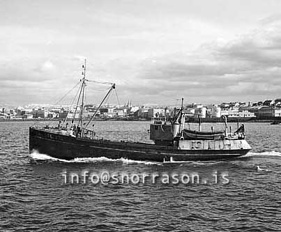 ss02944-01.jpg
Rifsnes RE 272