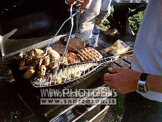 hs018065-01.jpg
grill, grillaður matur, barbeque