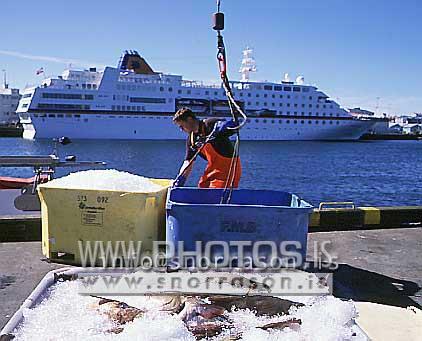 hs011293-01.jpg
sjómaður, löndun á ferskum fiski, landing og fresh
fish, sailor, fisherman