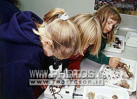 hs010323-01.jpg
Börn, nemendur, líffræði, skóli, school