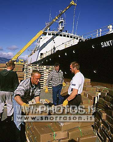 hs006537-01.jpg
Löndun, Hafnarverkamenn, landing,  harbor worksmen