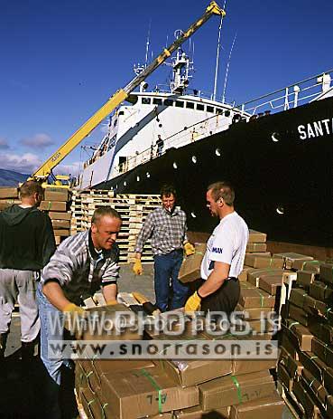 hs006537-01.jpg
Uppskipun á sjávarafurðum, landing of frosen fish