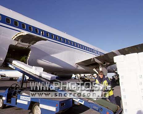 hs005743-01.jpg
flugfragt, cargo, Icelandair