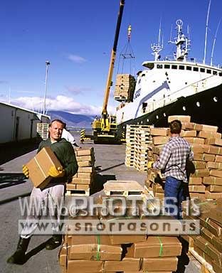 hs004983-01.jpg
löndun á frosnum fiski, landing of frosen fish
