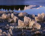 hs012218-01.jpg
frosinn gróður, frosen vegetation, gróður, vegetation, 
vetur, winter