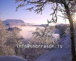 hs012164-01.jpg
Mývatn, vetur, winter, gróður, tré þakin snjó, trees covered with snow, trees, snow