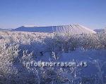 hs012158-01.jpg
Mývatn, vetur, winter, gróður, tré þakin snjó, trees covered with snow, trees, snow, Hverfell