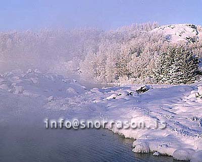 hs012156-01.jpg
Mývatn, vetur, winter, gróður, tré þakin snjó, trees covered with snow, trees, snow, tré, snjór