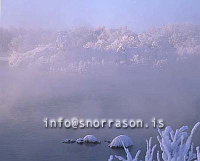 hs012153-01.jpg
Mývatn, vetur, winter, gróður, tré þakin snjó, trees covered with snow, trees, snow, tré, snjór