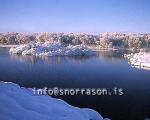 hs012152-01.jpg
Mývatn, vetur, winter, gróður, tré þakin snjó, trees covered with snow, trees, snow, tré, snjór