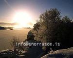 hs012151-01.jpg
Mývatn, vetur, winter, gróður, tré þakin snjó, trees covered with snow, trees, snow, tré, snjór