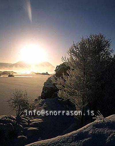 hs012145-01.jpg
Mývatn, vetur, winter, gróður, tré þakin snjó, trees covered with snow, trees, snow, tré, snjór