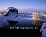 hs012143-01.jpg
Mývatn, vetur, winter, gróður, tré þakin snjó, trees covered with snow, trees, snow, tré, snjór