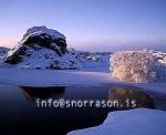 hs012141-01.jpg
Mývatn, vetur, winter, gróður, tré þakin snjó, trees covered with snow, trees, snow, tré, snjór