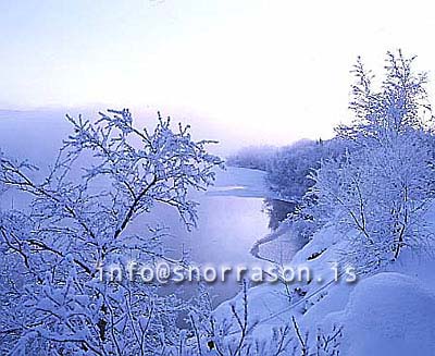 hs012134-01.jpg
Mývatn, vetur, winter, gróður, tré þakin snjó, trees covered with snow, trees, snow, tré, snjór