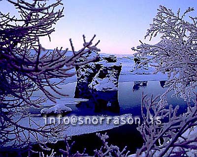 hs012128-01.jpg
Mývatn, vetur, winter, gróður, tré þakin snjó, trees covered with snow, trees, snow, tré, snjór