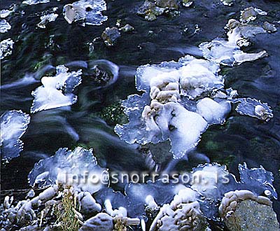 hs004368-01.jpg
lækur í Þjórsárdal
Small stream in Thjorsárdalur