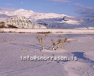 hs004272-01.jpg
Skaftafell, hvít jörð, hvít fjöll, white mountains