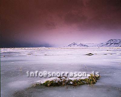 hs004156-01.jpg
frosin jörð á vesturlandi
frosen soil