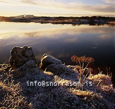 hs003929-01.jpg
Þingvallavatn