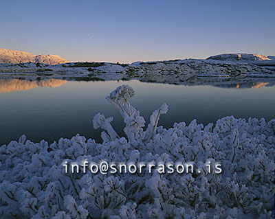 hs003927-01.jpg
Thingvellir