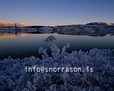 hs003927-01.jpg
Þingvallavatn
winter light at Thingvellir, water and snow