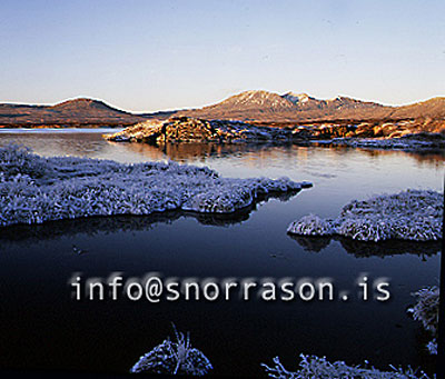 hs003926-01.jpg
Thingvellir