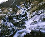 hs003795-01.jpg
lækur, ferskvatn við Hraunfossa
stream with freshwater, Hraunfossar waterfalls, w - Iceland