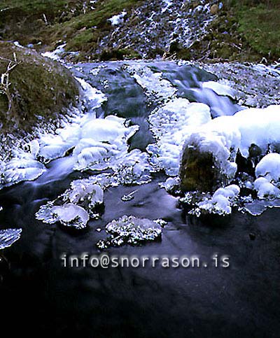 hs002884-01.jpg
lækur í Þjórsárdal, stream in Tjorsárdalur