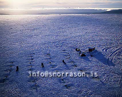 hs011239-01.jpg
Sleðahundar á Langjökli, Langjökull