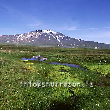 hs005878-01.jpg
Snæfell