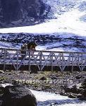 hs012353-01.jpg
göngubrúin við Gígjökul, á leið í Þórsmörk
Hikers at the bridge near Gigjokull
